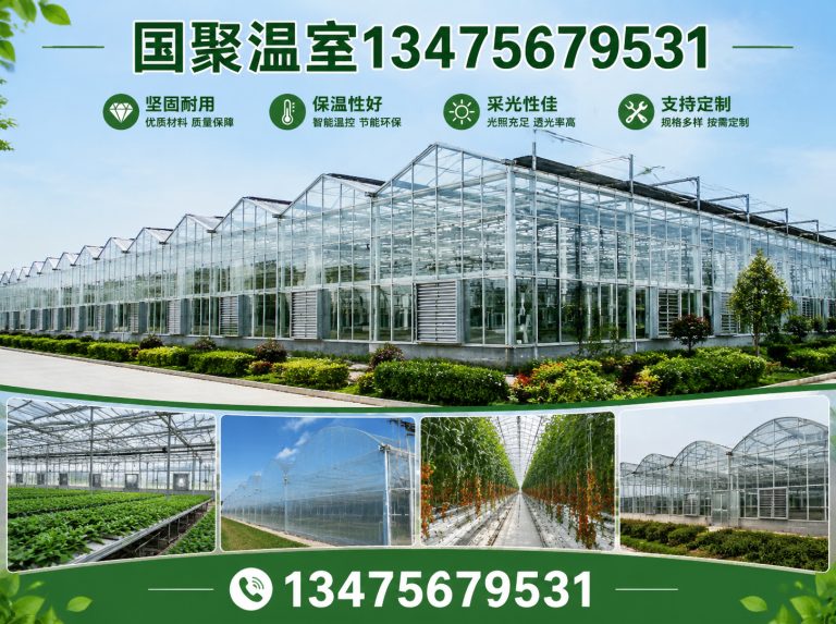 安丘市温室设计施工展示图