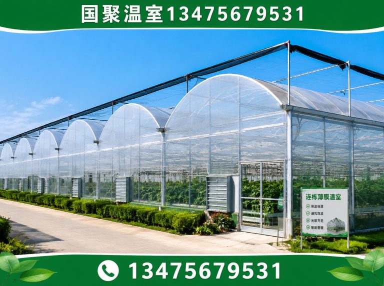 安丘市青州温室展示图
